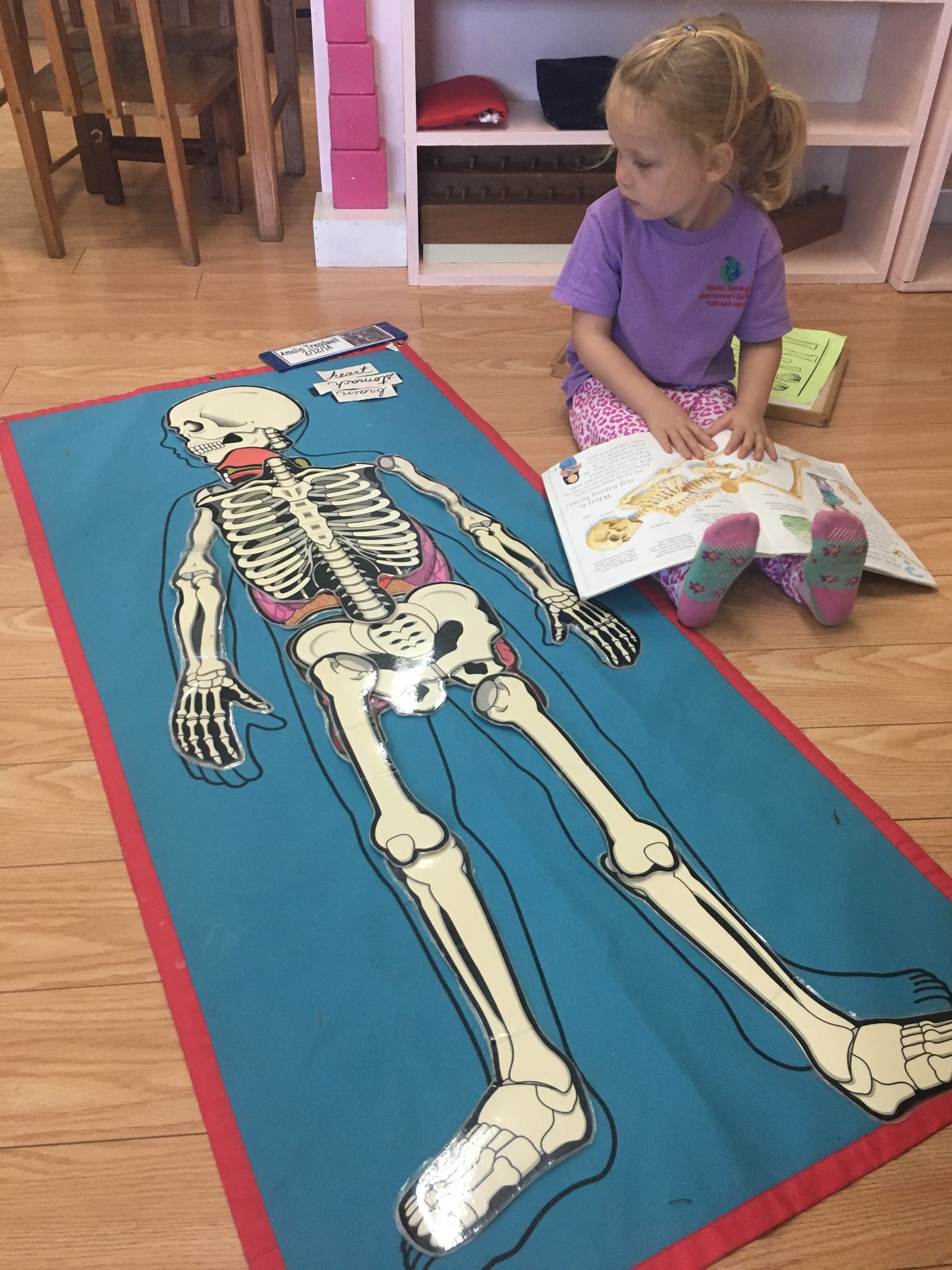 Child assembling a skeleton puzzle during a science lesson