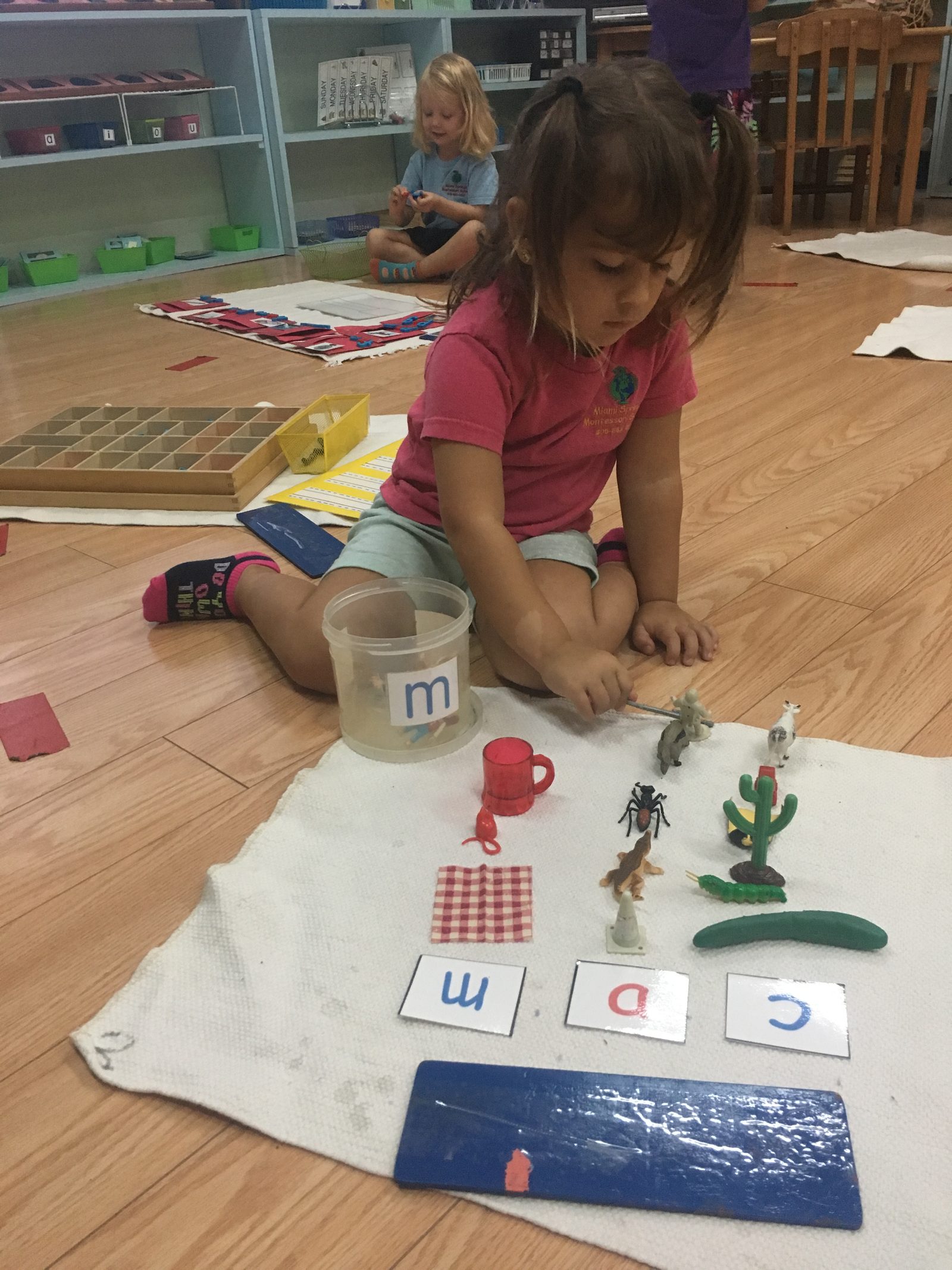 Child combining letter work with plants and natural materials outdoors
